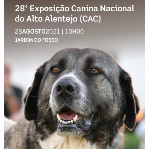 28th Alto Alentejo National Dog Show - Timetables