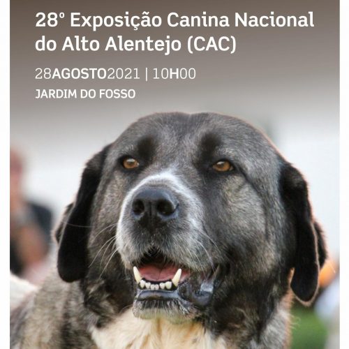 28th Alto Alentejo National Dog Show - Timetables