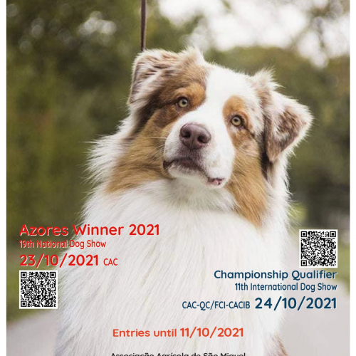 11th Ribeira Grande International Dog Show (Championship Qualifier)