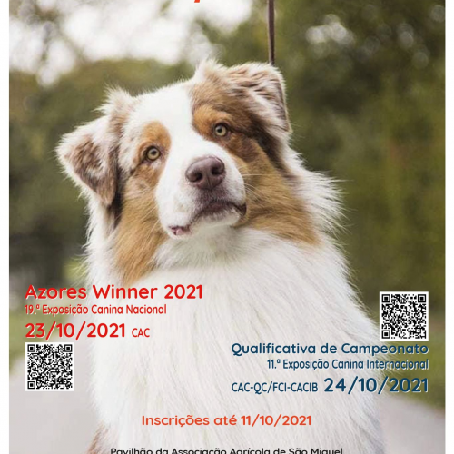 19th Ribeira Grande National Dog Show (AZORES WINNER 2021)