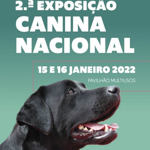 2nd Arruda dos Vinhos National Dog Show