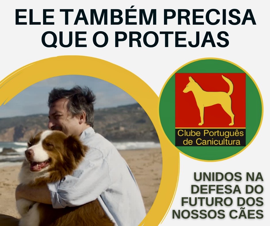 “Ele também precisa que o protejas!”-7