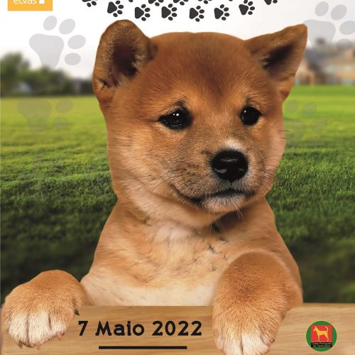 32.ª Exposição Canina Internacional de Elvas - Resultados