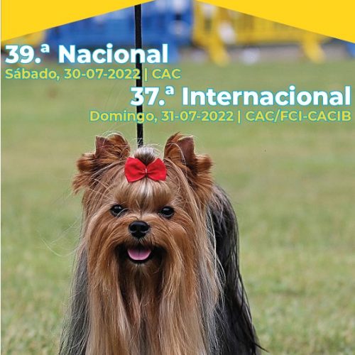39.ª Exposição Canina Nacional de Sintra