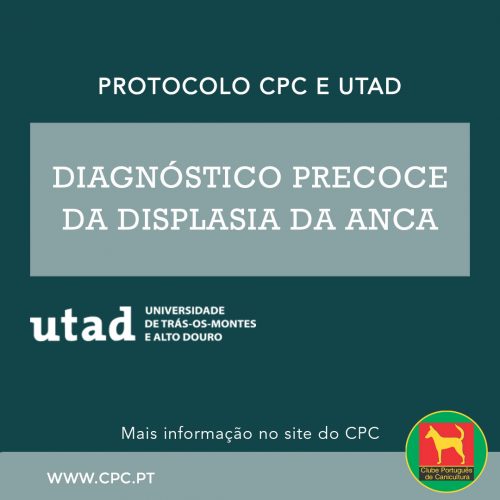 Protocolo | Diagnóstico precoce da Displasia da Anca