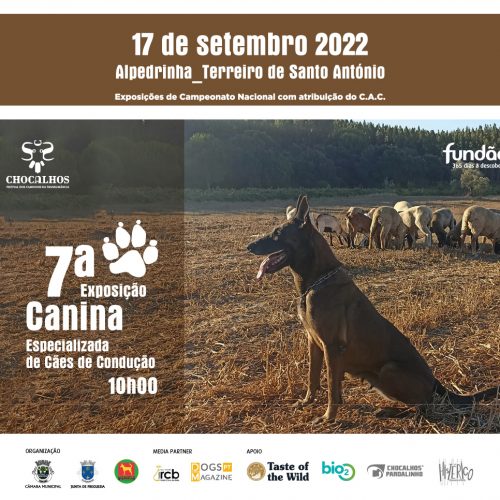 11.ª E. C. E. Cães de Proteção de Rebanhos “Chocalhos 2022” – Horários