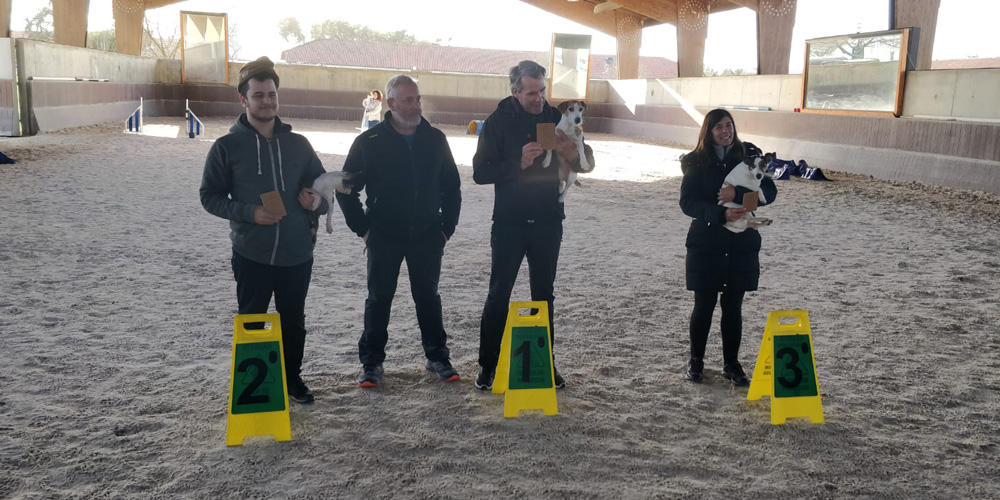 agility_7
