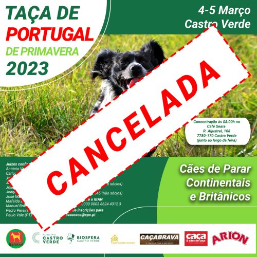 Taça de Portugal de Primavera 2023