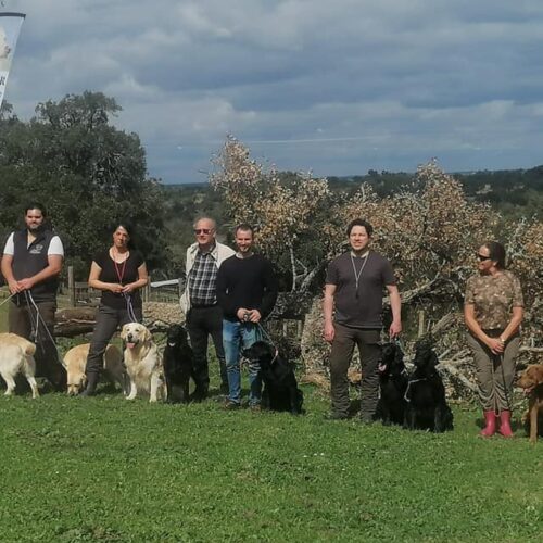 3.º Teste de Aptidões Naturais (TAN) para Retrievers