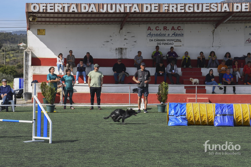 seletivas-awc-fundao (12)