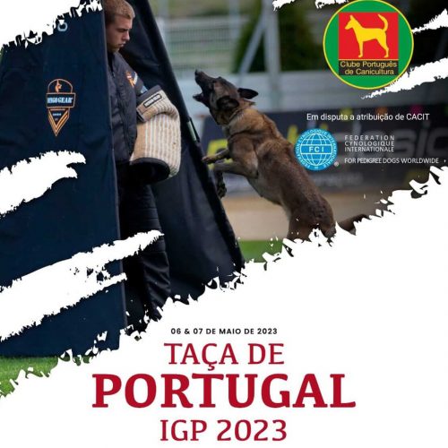 Taça de Portugal IGP 2023 - CACIT