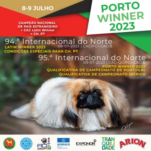 Porto Winner 2023 e Qualificativa de Campeonato