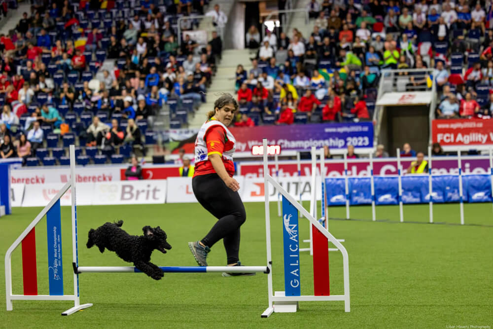 agility-3