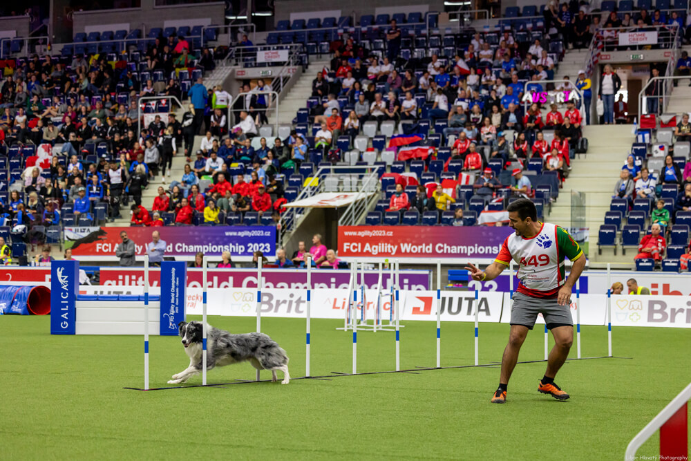 agility-5