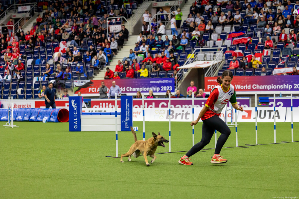 agility-7