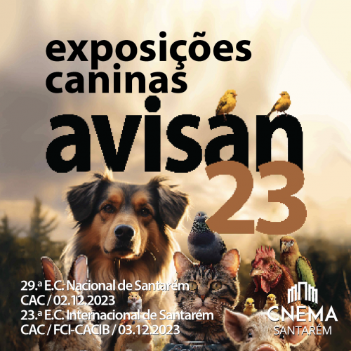 23.ª Exposição Canina Internacional de Santarém - Horários