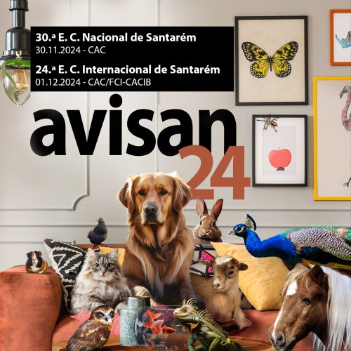 30.ª Exposição Canina Nacional de Santarém-Avisan - Horários