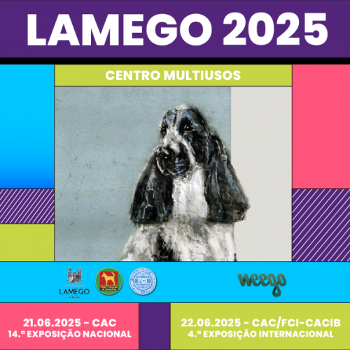 Exposições Caninas de Lamego 2025