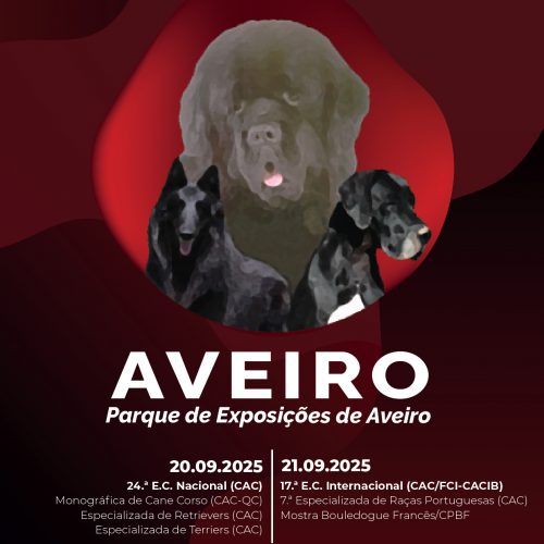 Exposições Caninas de Aveiro 2025