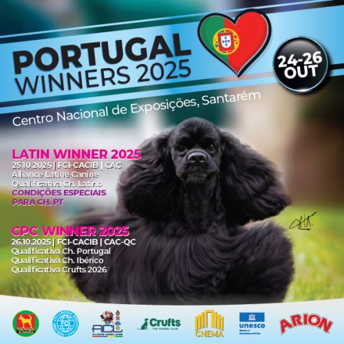 Portugal Winners 2025